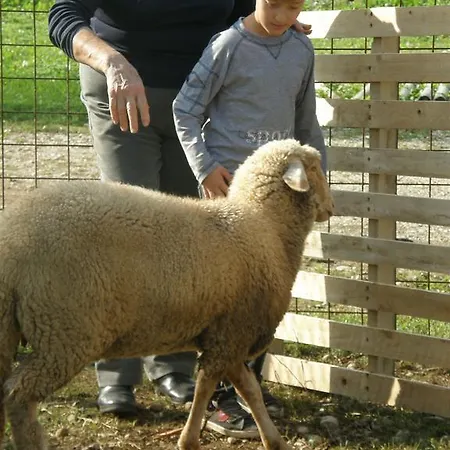 Gospodarstwo agroturystyczne Agriturismo Casa Maria Teresa