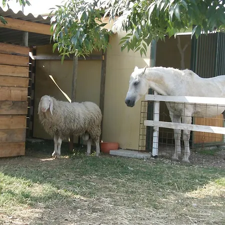 Gospodarstwo agroturystyczne Agriturismo Casa Maria Teresa *