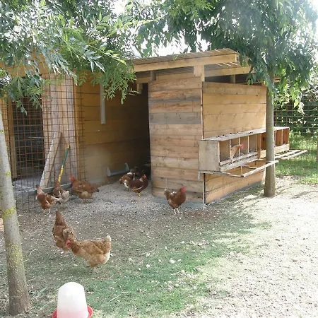 Gospodarstwo agroturystyczne Agriturismo Casa Maria Teresa *