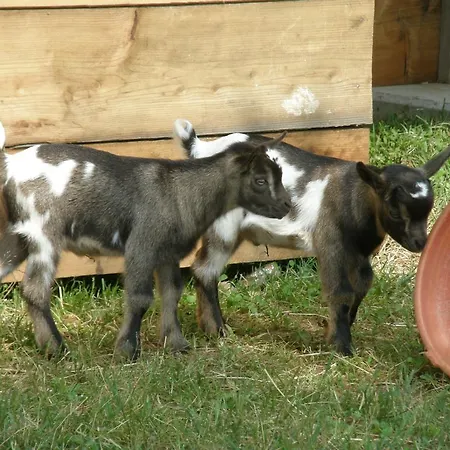 Gospodarstwo agroturystyczne Agriturismo Casa Maria Teresa *