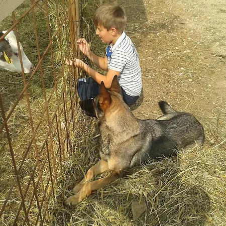 Gospodarstwo agroturystyczne Agriturismo Casa Maria Teresa Sommacampagna