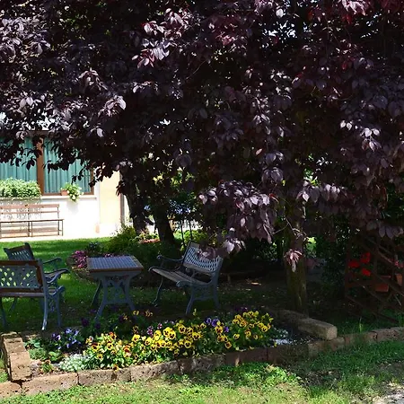 Gospodarstwo agroturystyczne Agriturismo Casa Maria Teresa Sommacampagna